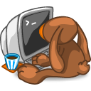little brown bunny looking at the computer